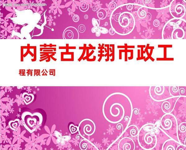 内蒙古龙翔市政工程有限公司